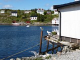 norge2012_neef_079